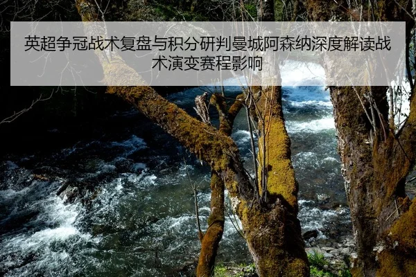英超争冠战术复盘与积分研判曼城阿森纳深度解读战术演变赛程影响